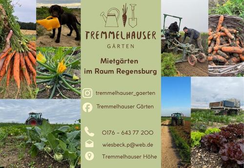 Foto - Tremmelhausen Gärten, Mietgärten