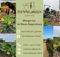 Tremmelhausen Gärten, Mietgärten - Pettendorf