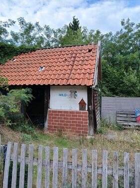 Foto - Einfamilienhaus zum Kaufen in Wathlingen