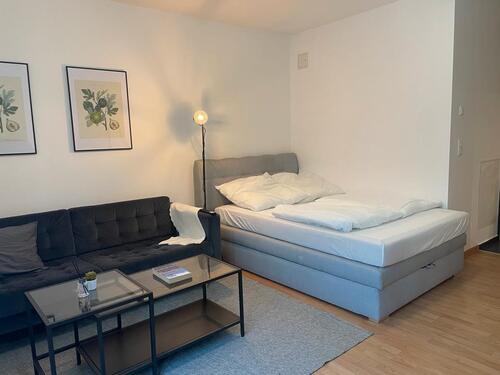 Foto - 1-Zimmer-Wohnung - Neubau, vollmöbliert 