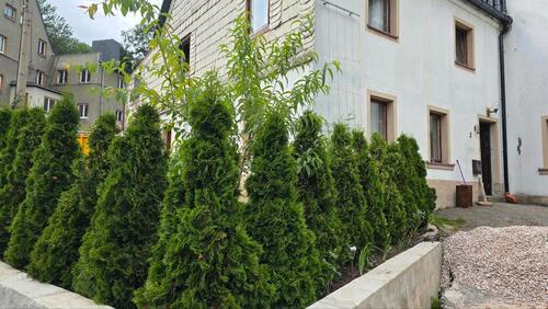Foto - 12 Zimmer Mehrfamilienhaus, Wohnhaus zum Kaufen in Grünhain-Beierfeld