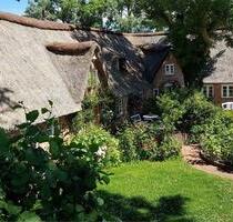 Fewo Sankt Peter Ording-Welt - 130,00&nbsp;EUR Kaltmiete, in Sankt Peter-Ording (PLZ: 25826)