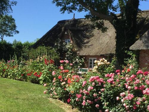 Foto - andere zur Miete in Sankt Peter-Ording