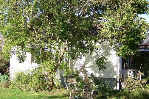 Foto - Bungalow, Doppelgarage, Garten, TEILUNGSVERSTEIGERUNG