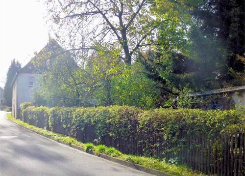 Foto - Einfamilienhaus in Schneeberg