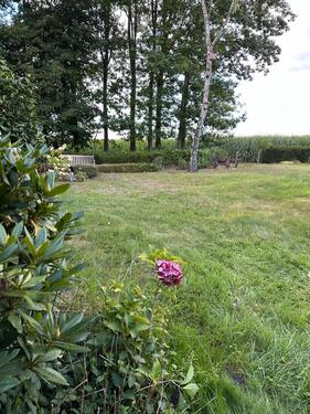 Foto - andere in Großenkneten zur Miete