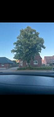 Foto - 6 Zimmer Einfamilienhaus zum Kaufen in Stade