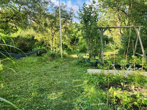 Foto - Naturnaher Kleingarten in Kiel-Alte Weide