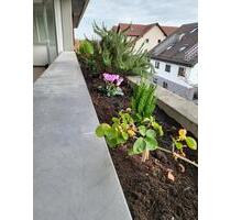 Sehr gepflegte und moderne Wohnung in Asperg