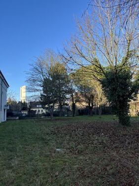 Foto - andere in Mannheim