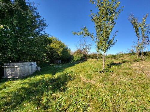 Foto - Garten Grundstück mieten Vermietung