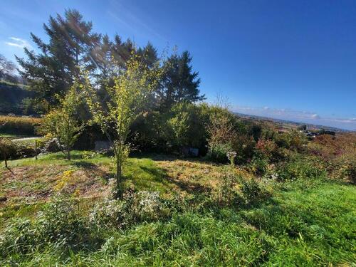 Foto - Grundst&uuml;ck in Achern