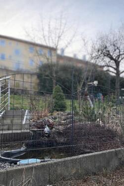 Foto - 8 Zimmer Mehrfamilienhaus, Wohnhaus zum Kaufen in Neustadt an der Aisch