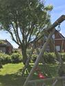 Foto - 4 Zimmer Einfamilienhaus in Friedrichskoog