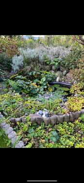 Foto - Kleingarten mit großem Wintergarten