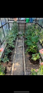 Foto - Grundst&uuml;ck zur Miete in Rostock