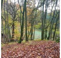 Wohnung nähe Limburg in ELZ - 1.130,00&nbsp;EUR Kaltmiete, ca.&nbsp; 55,00&nbsp;m&sup2; in Limburg an der Lahn (PLZ: 65549)