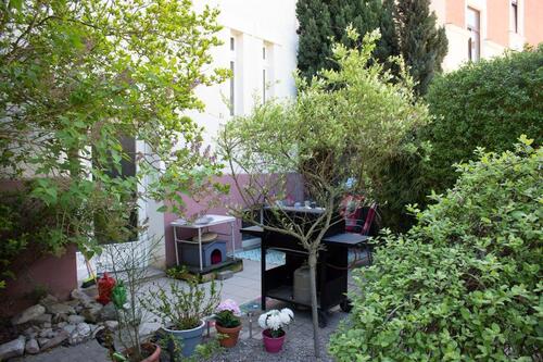 Foto - Mehrfamilienhaus, Wohnhaus in Plauen zum Kaufen