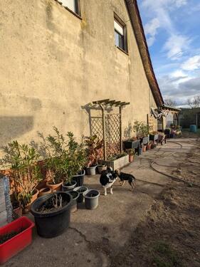 Foto - Einfamilienhaus zum Kaufen in Trebbin