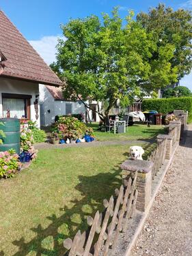 Foto - 6 Zimmer Einfamilienhaus zum Kaufen in Felde