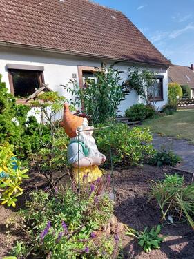 Foto - 6 Zimmer Einfamilienhaus in Felde