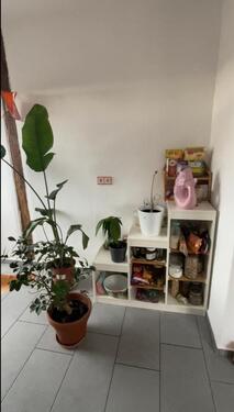 Foto - Etagenwohnung in Kassel zur Miete