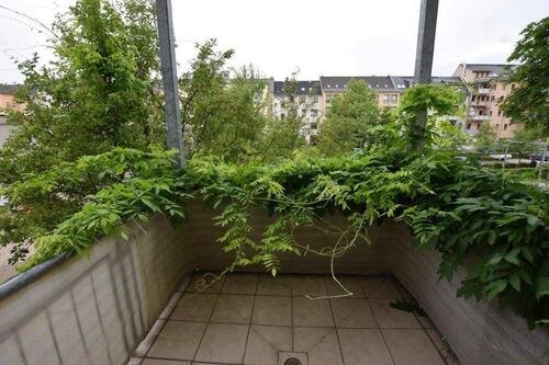 Foto - 2 Zimmer Etagenwohnung in Chemnitz