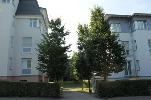 Foto - 3 Zimmer Etagenwohnung in Dresden