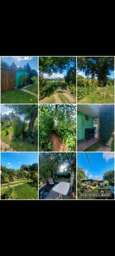 Foto - 2 Zimmer Einfamilienhaus in Röbel/Müritz