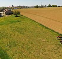 Modernisierter Aussiedlerhof mit Pferdestall, Wiese und Werkstat - Eppingen