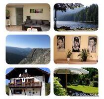 Ferienwohnung im Bayerischen Wald, Last Minute, Urlaub mit Hund - Bayerisch Eisenstein