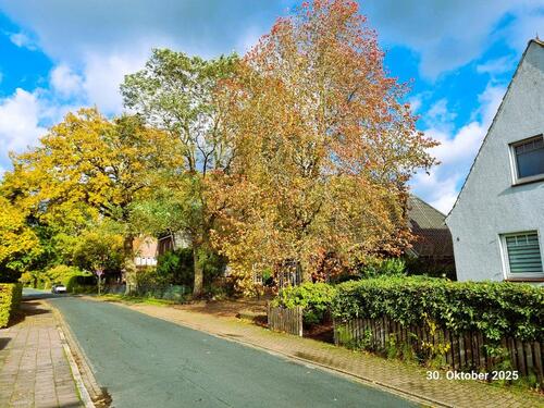 Foto - Einfamilienhaus zum Kaufen in Rastede