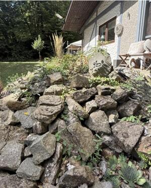 Foto - Einfamilienhaus zum Kaufen in Rockenhausen