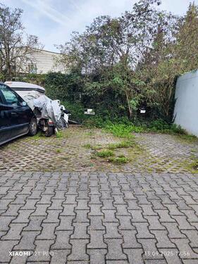 Foto - Parkplatz für PKW zu vermieten - 45,00 EUR Kaltmiete,