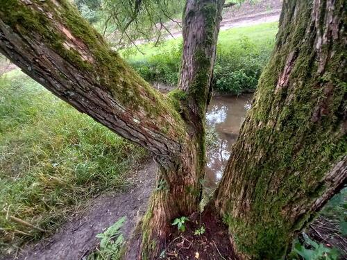 Foto - andere zur Miete in Teisnach