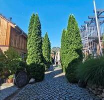 2 Raum Wohnung Ferienwohnung in FrankfurtO. - Frankfurt (Oder) Booßen