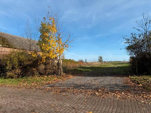 Foto - Einfamilienhaus in Beeskow zur Miete