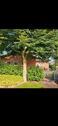 Foto - Haus zu vermieten - 900,00&nbsp;EUR Kaltmiete, ca.&nbsp; 85,00&nbsp;m&sup2;