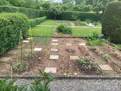 Foto - Grundst&uuml;ck in Chemnitz zur Miete