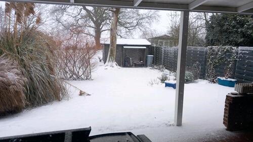 Foto - Barrierefreier BungalowReihenendhaus mit schönem Grundstück