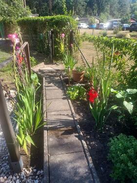 Foto - Grundst&uuml;ck zur Miete in Muldestausee