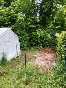 Foto - Grundst&uuml;ck zur Miete in Limbach