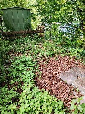 Foto - Grundst&uuml;ck in Limbach zur Miete
