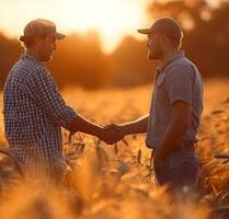 Kleine Ausgleichsfläche Wiese 3100 qm 94554 Moos