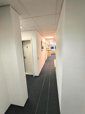 Foto - andere in Freiburg im Breisgau