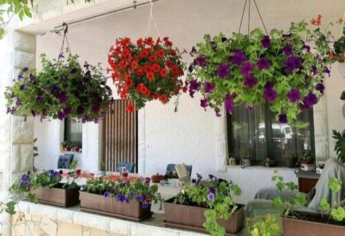 Foto - andere in Köln zur Miete