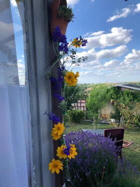 Foto - Grundst&uuml;ck in Dresden