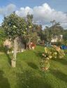 Foto - Kleingarten Pachtgarten Natur - 2.900,00&nbsp;EUR Kaltmiete, ca.&nbsp; 100,00&nbsp;m&sup2;