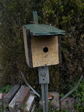 Foto - 1 Zimmmer haus für junge familie