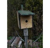 1 Zimmmer haus für junge familie - Nienburg (Weser)